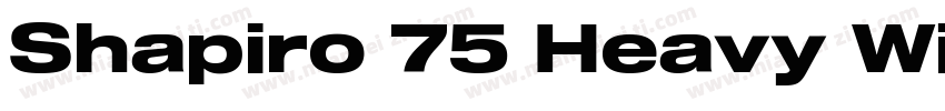 Shapiro 75 Heavy Wide字体转换